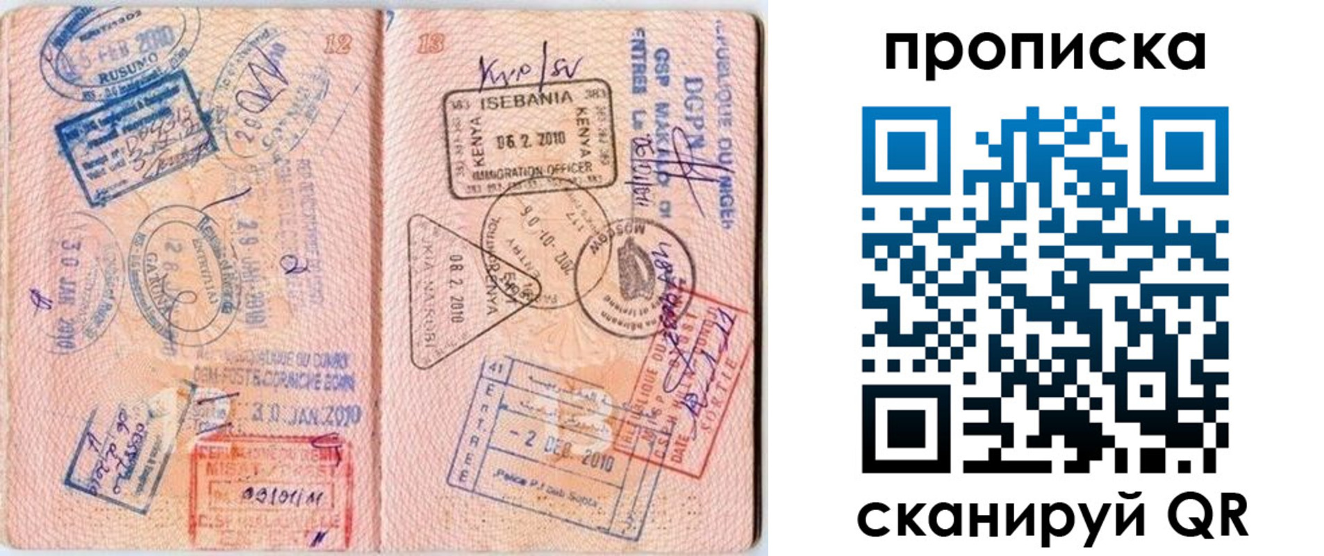 прописка для школы в Гвардейске